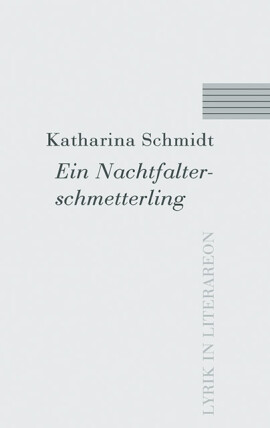 Katharina Schmidt: Ein Nachtfalterschmetterling