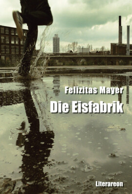 Felizitas Mayer: Die Eisfabrik