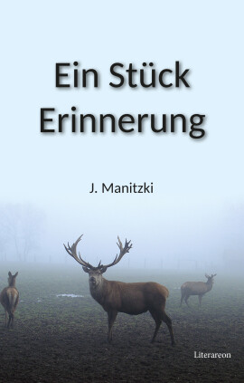 Janett Manitzki: Ein Stück Erinnerung